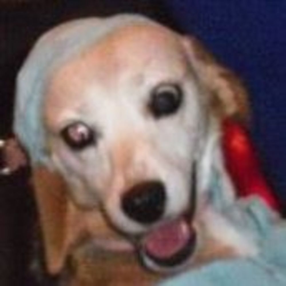 Meet your Posher, Pat